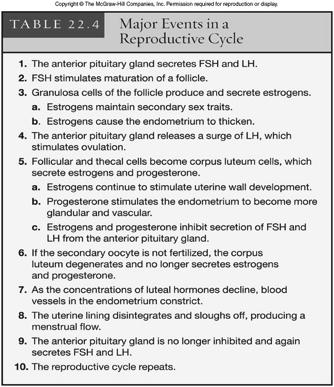 Female Reproductive Cycle 49 Female Reproductive Cycle 50
