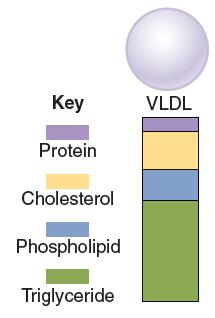 Lipoproteins differ by size, density, and the composi@on of their