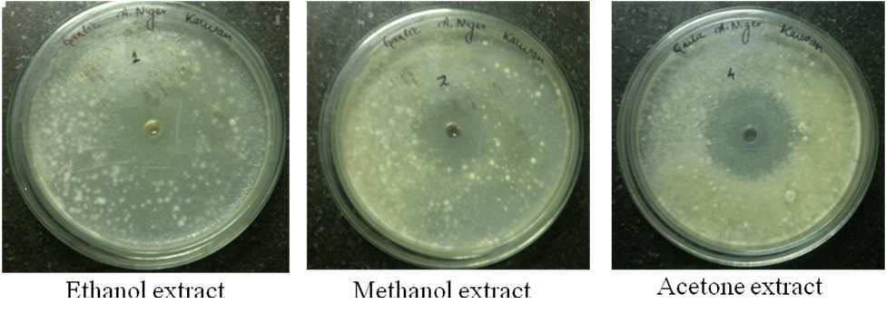 aureus was most sensitive and showed highest zone of inhibition for ethanol, butanol, acetone and hexane extract.