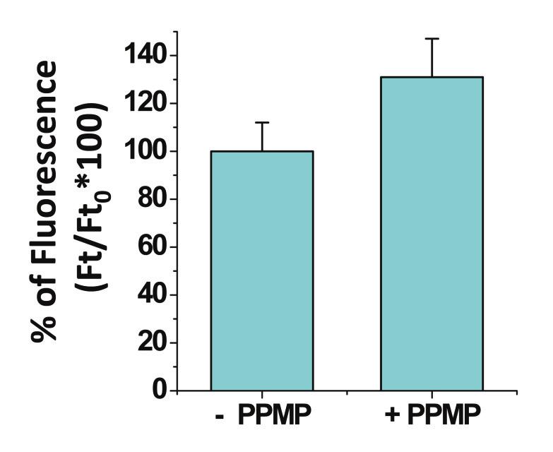 These data showed that PPMP treatment (10 M, 48hr) induced a dramatic decrease of the cell surface expression of GM1.