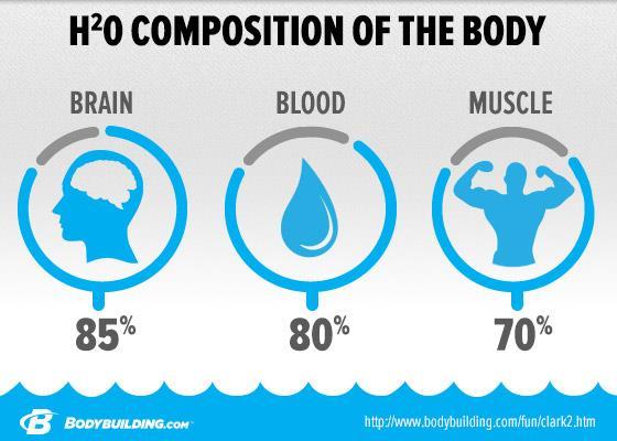 WATER Up to 70% of the human body is