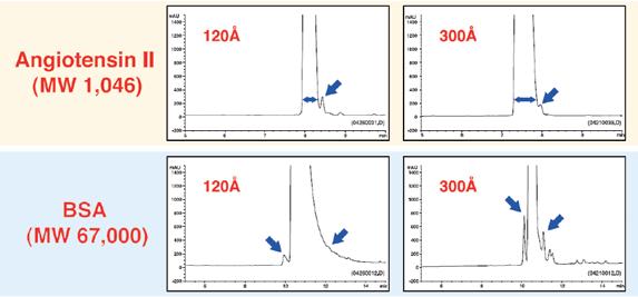 Columns for bioseparations Comparison of peaks on C4 with 12 nm and 30 nm pore sizes 12 nm 30 nm 12 nm 30 nm For smaller peptides a small pore size is more successful.