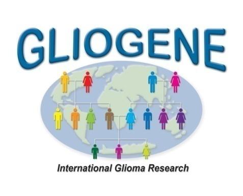 Gene mapping in families for BTs GLIOGENE studies (ABTA supported) Families with 2 or more gliomas Most gliomas occurred in clusters of 2 Shete, et al.