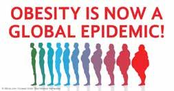 STUDY ON OBESITY Obesity is caused by an increase insulin resistance Study about a test on women show that urinary Bisphenol A levels were positively correlated with BMI, waist circumference, fasting
