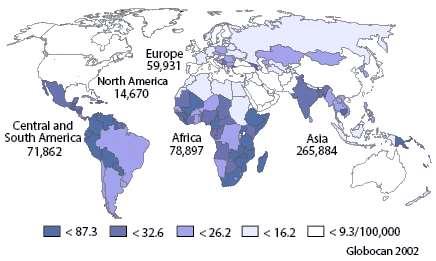 Global Demographics Estimated Number of Cases and Incidence of Cervical Cancer Prevalence: 2,274,000 women have cervical cancer Incidence: 510,000 new cases each year; 80% in developing
