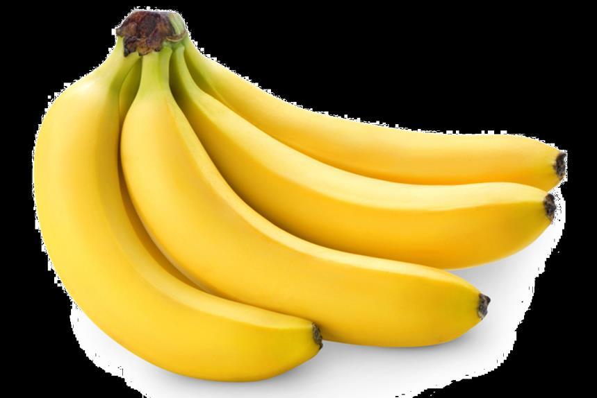 Excellence Question (with a) NCEA 2017 Survival in a changing environment Bananas Question 3b: Suggest a possible problem that may arise with farmed bananas (produced from suckers), and explain why