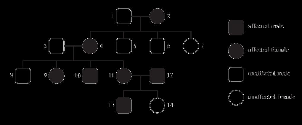 Question 1a: Photic sneezing is a condition which causes affected people to sneeze due to bright light. It can be traced through a family, as shown in the pedigree chart.