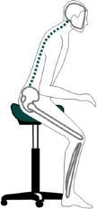 The beneficial effect of the Saddle Seat on spinal position Spinal position on Saddle Seat. Spinal position on Flat seat.