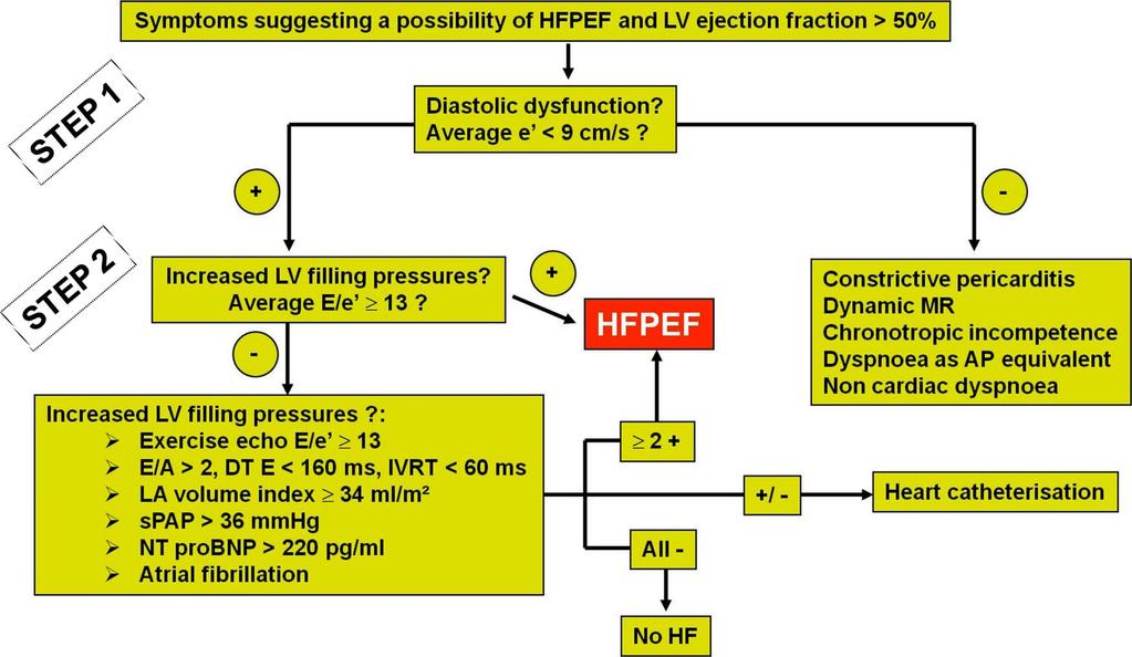 Stepwise approach to the diagnosis of heart failure with preserved EF in