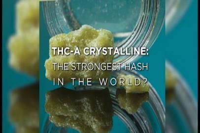 Crystalline or Crystal How are Cannabis Concentrates consumed?