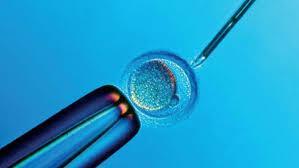 + In vitro fertilization (IVF) In vitro