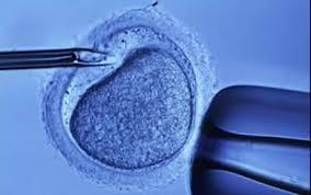 + PGD-IVF in a nutshell (cont.