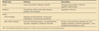 Classification of the vasculitides 2014