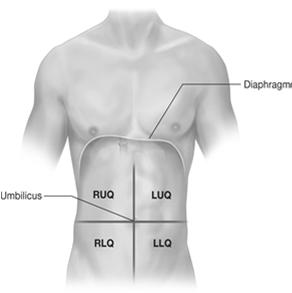 Abdominal Quadrants Abdomen divided into quadrants RUQ, LUQ, RLQ, LLQ Epigastric region Abdominal Pain or Discomfort Visceral Pain