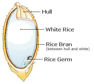 B. Rice bran oil Rice bran oil is a vegetable oil, extracted from bran of the rice seed.