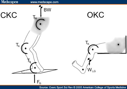 Closed chain reduced anterior Closed chain does very little for rotational forces about the knee Markolf 95 Knee Angle During ACL Tear Minimizes Posterior Shear Component of Hamstring Contractile
