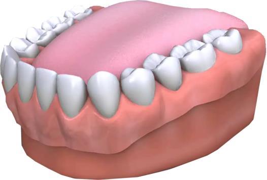 DENTURES Introduction Whether you have worn dentures for some time or are about to wear them for the first time, you probably have many questions.