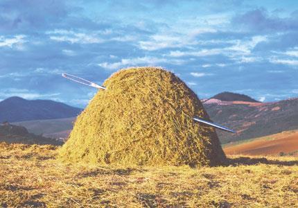 When You Are Looking for a Needle in a Haystack, Make the