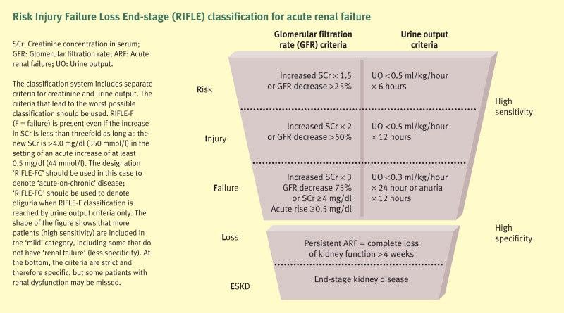 RIFLE CRITERIA CLASSIFICATION OF ARF CONDITINS CAUSE THE ISCHEMIC ARF CAUSES OF ARF BY CLINICAL SETTING SEPSIS AND KIDNEY