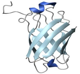 Three recombinant proteins discovered by reverse