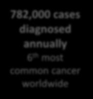 Liver Cancer Facts 782,000 cases diagnosed annually 6 th most common cancer