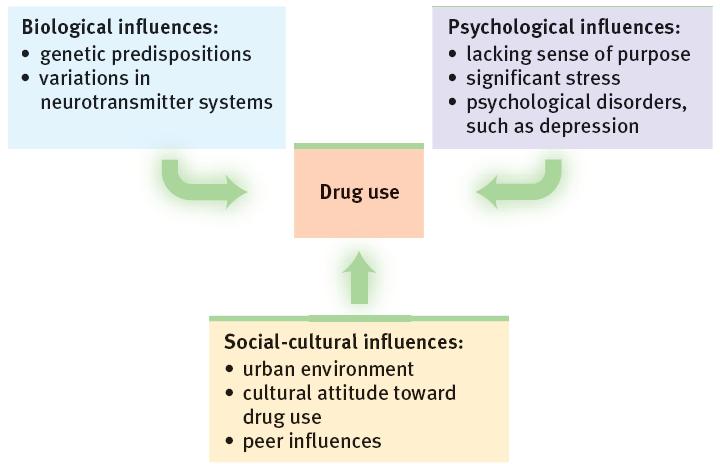 What influences can lead to drug use? What can turn drug use into addic<on?