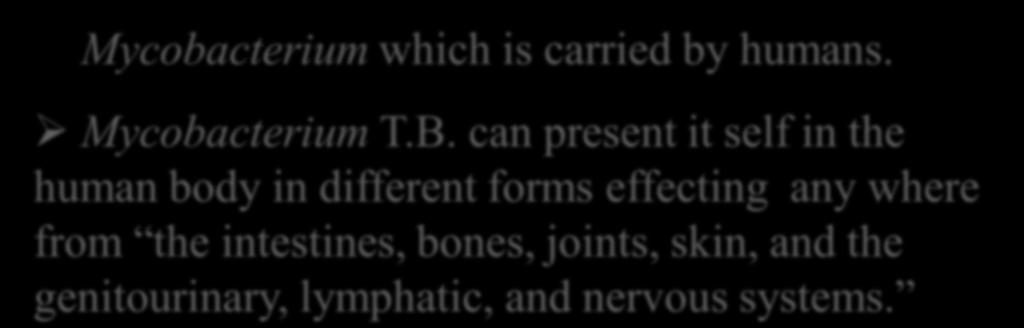 Mycobacterium which is carried by humans. Mycobacterium T.B.