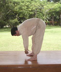 B. Yin Position 1. Exhale. Straighten up and bring the arms to the front, maintaining the hand position, and slowly bend forward from the hip joints.
