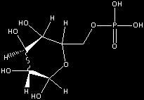 Sulfhydral Group sulfur bonded to H; thiols Phosphate