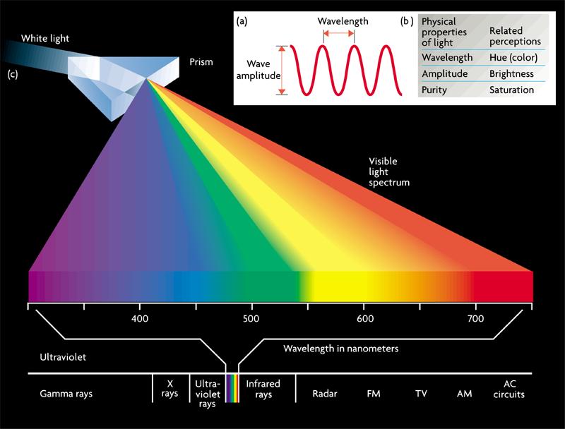 Color Vision Our visual system sensitive to narrow band of electromagnetic radiation from 350 millimicrons (violet)