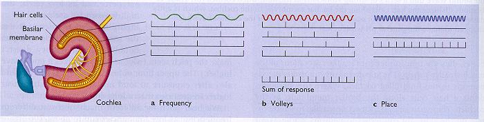 Low frequencies (up to about 100 Hz), the frequency principle.