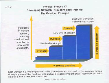3.- THE FOUR PRINCIPLES OF TRAINING The physical fitness of the human body can always be improved. This can be done by following a relevant training programme.