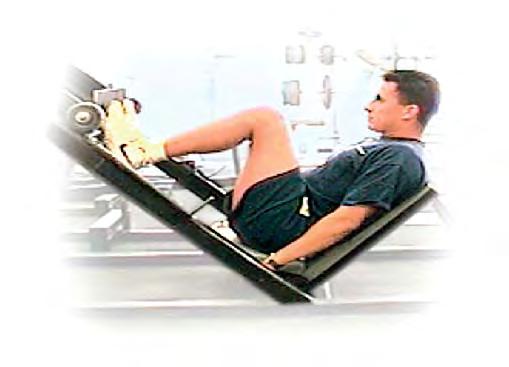 Weight Training Circuit Workout 1.