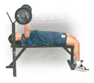 5. Bench Press Pectorals, Deltoids, Triceps CPAT vents: adder Raise, Forcible ntry, Search, Ceiling Breach and Pull Pick appropriate weight to overload above muscles but not so heavy as to cause