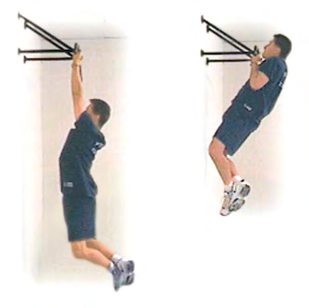 into upright position Forward leg should remain vertical throughout motion, with knee directly over ankle.