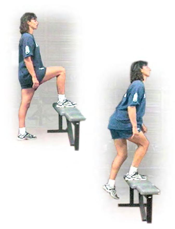 5. Bench Steps Glutes, Quadriceps, Hamstrings, Calves CPAT vents: Stair Climb, Hose Drag, adder Raise, Forcible ntry, Search, Rescue, Ceiling Breach and Pull This requires good balance, so initially