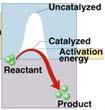 ΔG Enzymes Biological catalysts proteins (& RNA) facilitate chemical reactions increase rate
