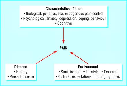 PAIN Subjective response to nociceptive input to brain Components Motivational-Affective: Emotional
