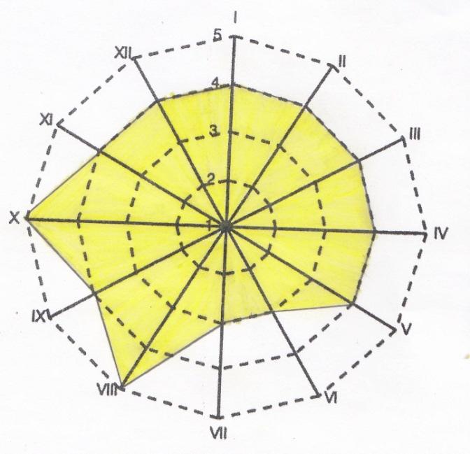M/PAC1 formular 35 Joonis 8. Katseisiku B isiksusepilt Joonis 9. Katseisiku B PEI diagramm Pedagoogilise väärtuste indeksi tulemused on näha joonisel 9.