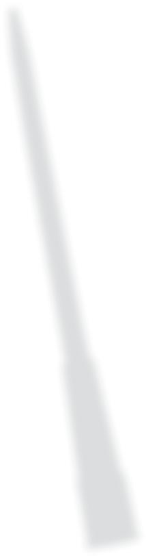 Thermo Scientific Finntip Extended Length Pipette Tips Finntip Extended Length Pipette Tips are designed for use with extremely narrow or deep vessels.