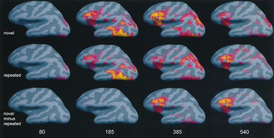 Example: Formal Integrating fmri and MEG