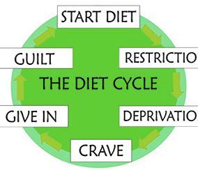 Phases Diet Cycle Start Diet & Restriction 7-14 days