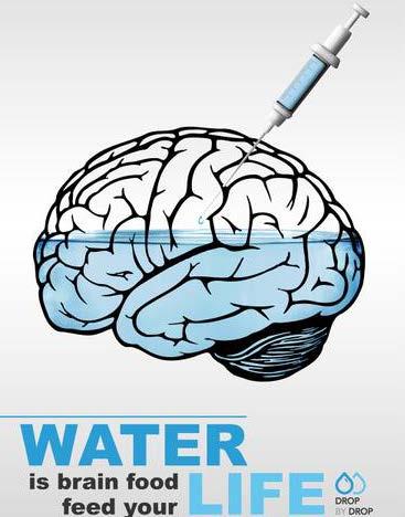 Water Your Brain is 85% Water Dehydration can cause short term memory problems and delay the ability to recall long term memories Chronic dehydration uses up your cognitive reserve By the time you