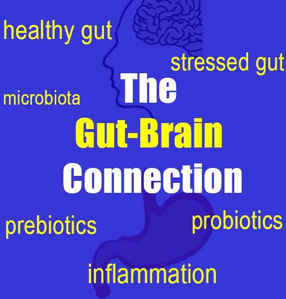 Gut bacteria influences inflammation and hormone production in the brain Healthy Gut Brain Axis Did you know that some