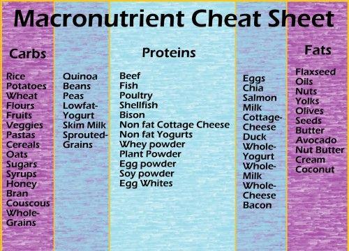 Carbohydrates Protein Fats