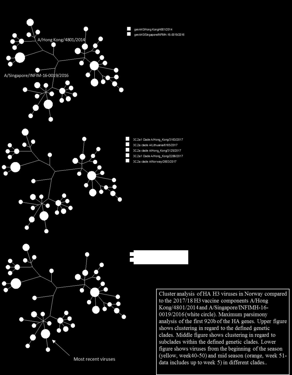 Figure 9: Cluster analysis of H3 viruses
