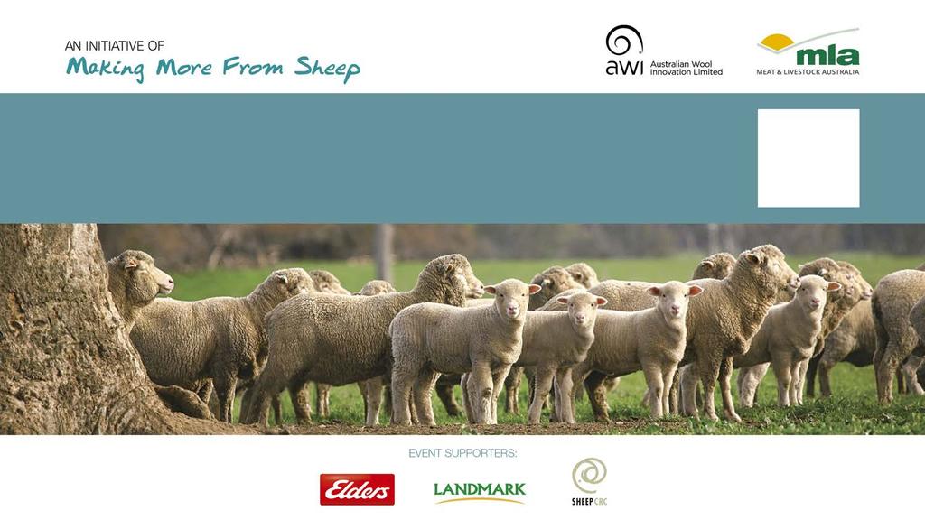 Lamb Meating Consumer Expectations