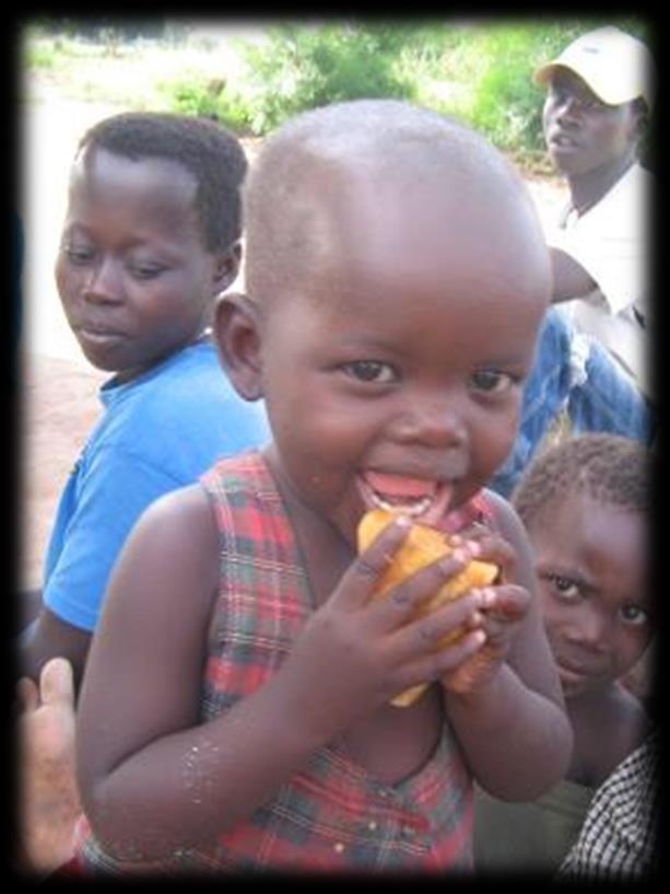 Orange Sweet Potato Vitamin A-rich orange sweet potato (OSP) was released to 24,000 households in Mozambique and Uganda from 2007-2009 Findings from the project have shown high rates of adoption