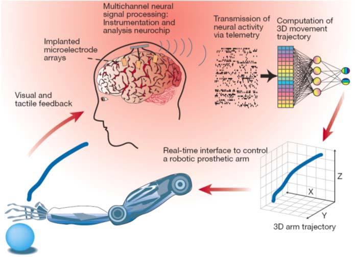 Controlling A Robotic Prosthetic Arm Using Brain-Derived Signals Multiple, chronically implanted, intracranial microelectrode arrays would be used to sample the activity of large populations of