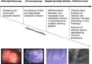 The Future of Endoscopic Imaging in Patients with IBD Surveillance Colonoscopy (AGA) 7. Patient with PSC Survey at time of diagnosis and then yearly 8.
